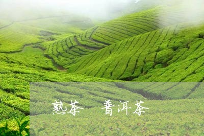 熟茶 普洱茶/2023042893421